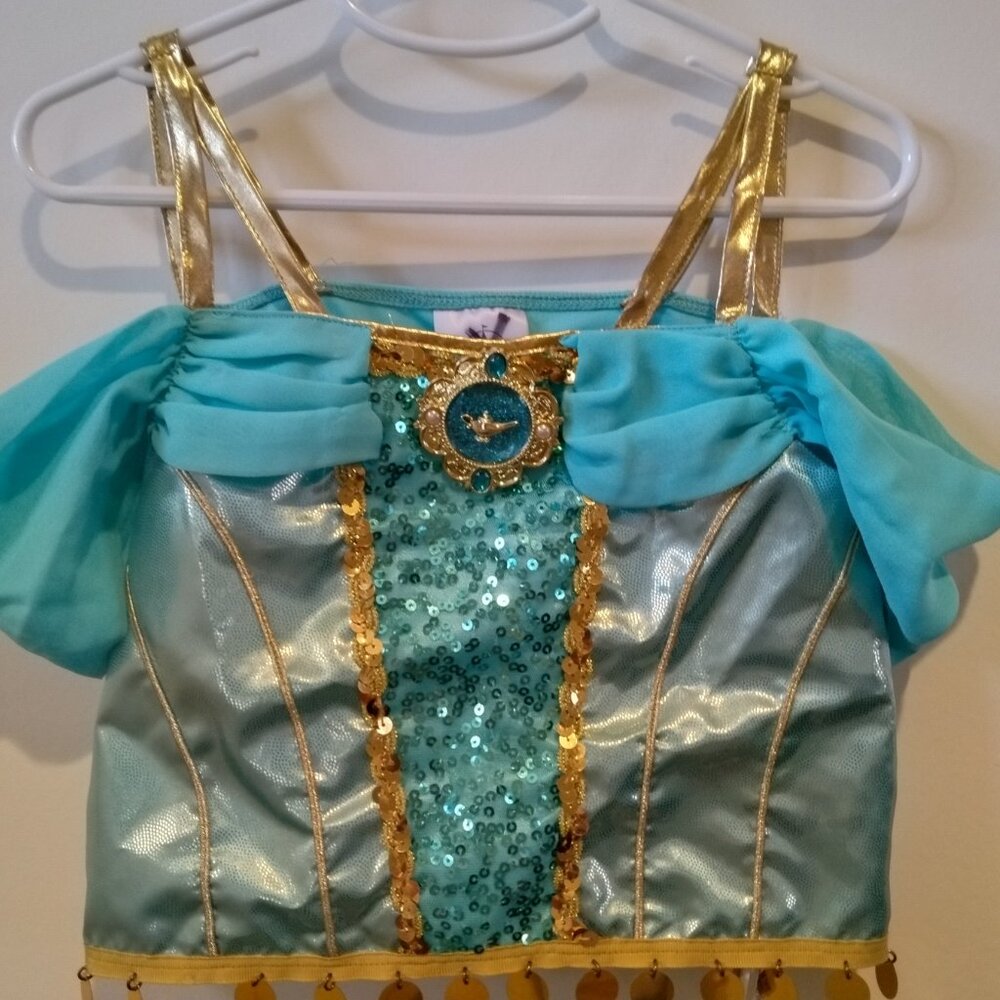 Disney Princess Jasmine Costume